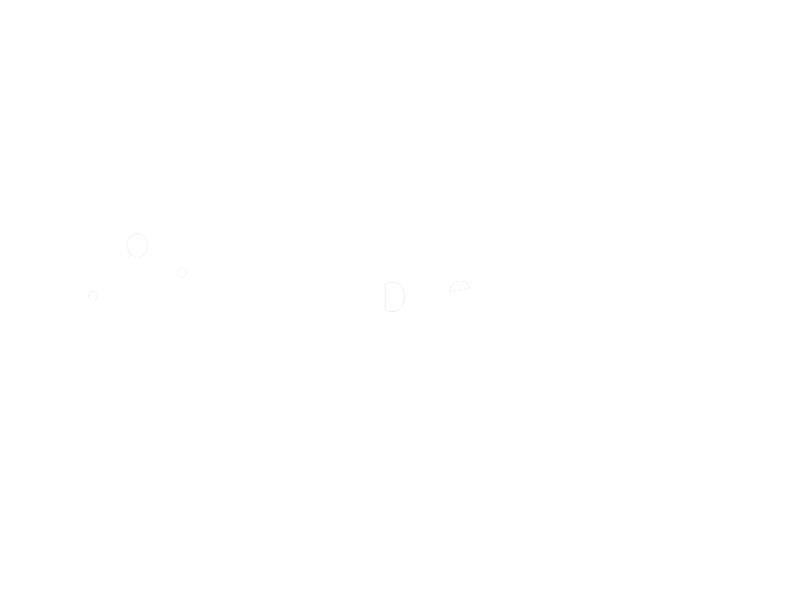 Expert Ts